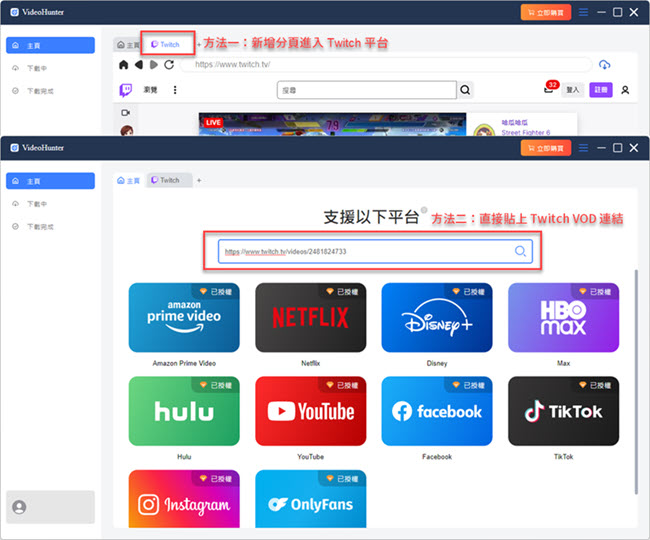 在 VideoHunter 貼上線上影片連結